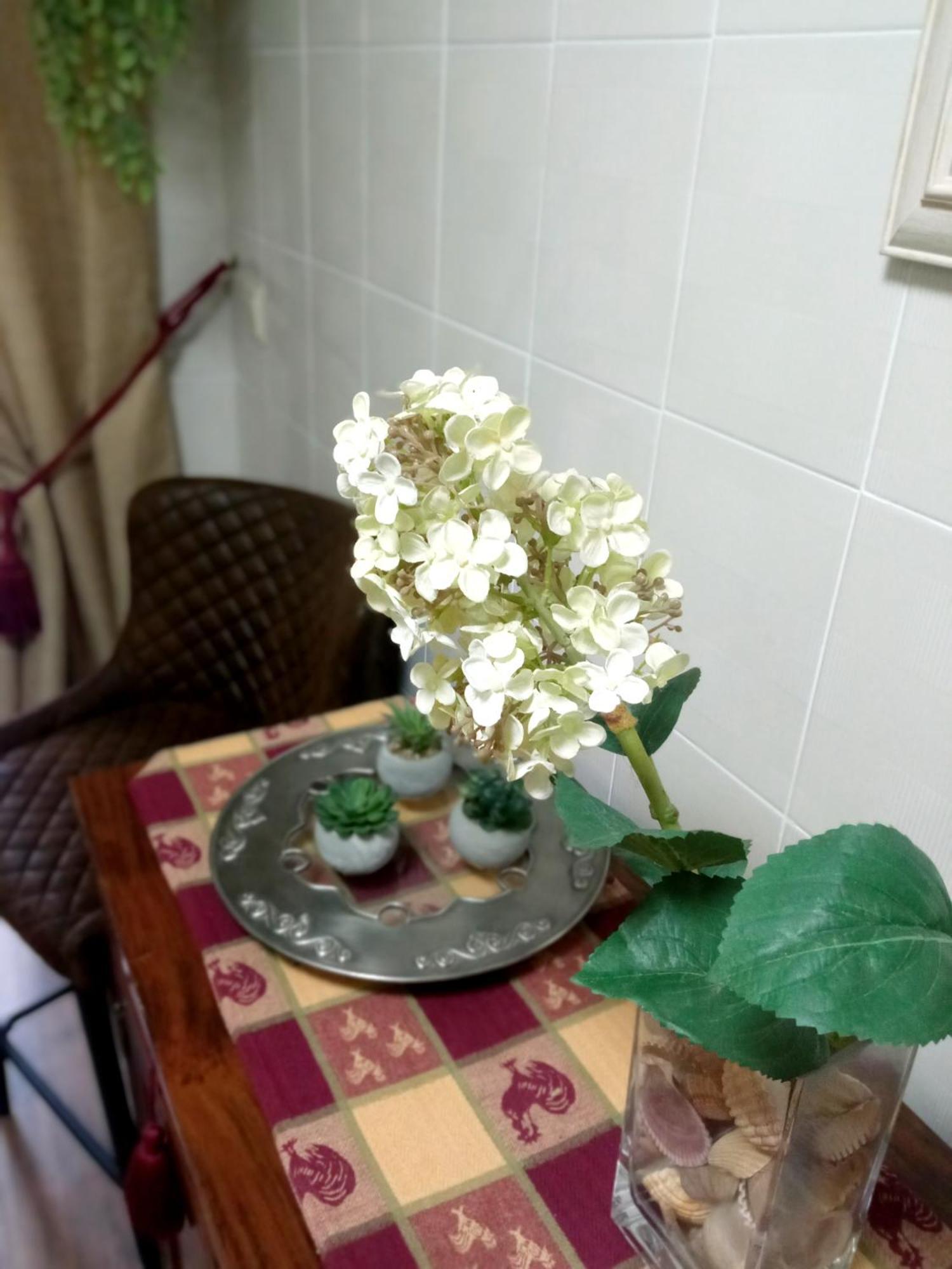 科爾多瓦Casa De Nina公寓 外观 照片